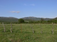 Molinos Valley, Alcornocales